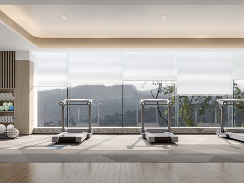 Modern Gym Fitness Area