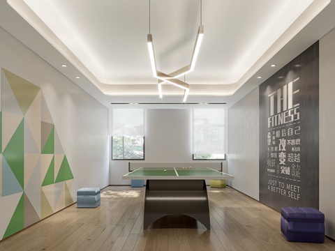 Modern table tennis room