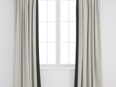 Curtain Window Screen