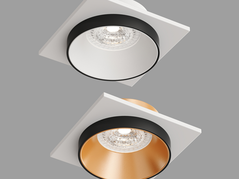 Modern Downlight Exhibition Downlight Exhibition Spotlight