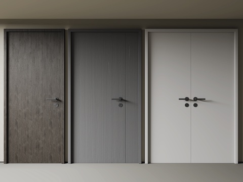 Modern Minimalist Single Door Double Door