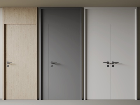 Modern Minimalist Single Door Double Door