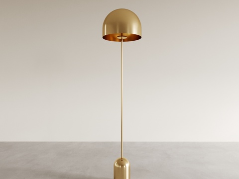 Affordable Luxury Style Floor Lamp