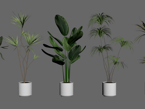 Modern potted plants, green plants, flowers and plants