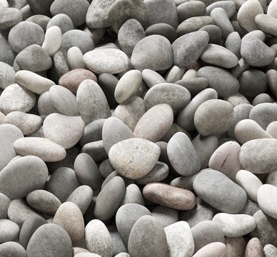 Pebbles Stone Bones