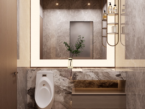 Modern toilet dry area