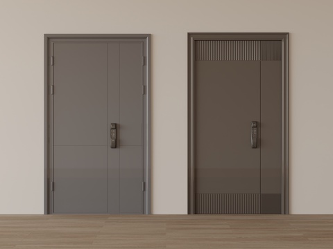 Modern security door entry door security door