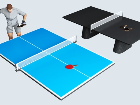 table tennis table