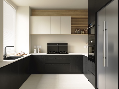 Modern Minimalist Kitchen