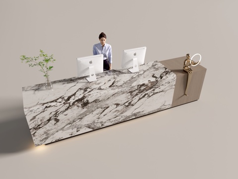 Modern Company Front Desk Service Desk