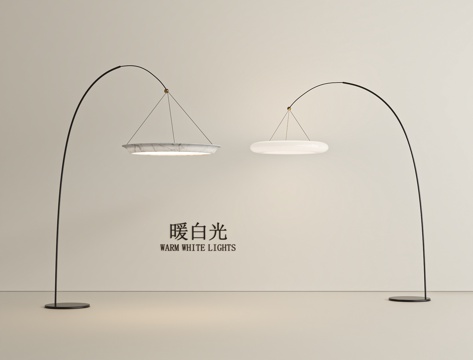 Modern Floor Lamp Warm White Fishing Lamp