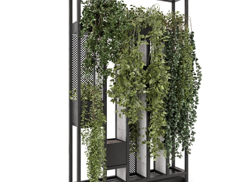 Modern Plant Wall Plant Rack