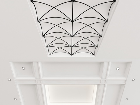 Modern shape ceiling