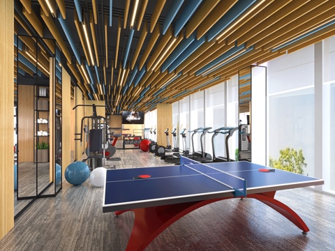 modern gym table tennis room