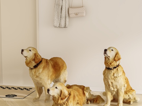 Modern Animal Dog Pet Dog Pet Dog Golden Retriever