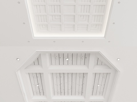 American white lacquer wood ceiling