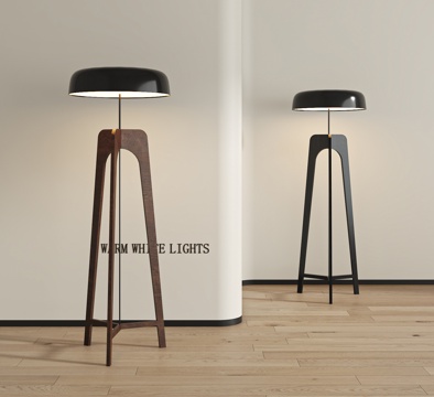 Modern floor lamp