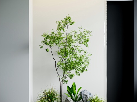 Modern Interior Landscape Landscaping