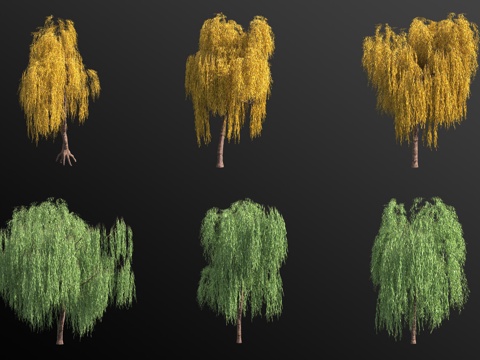 weeping willow tree