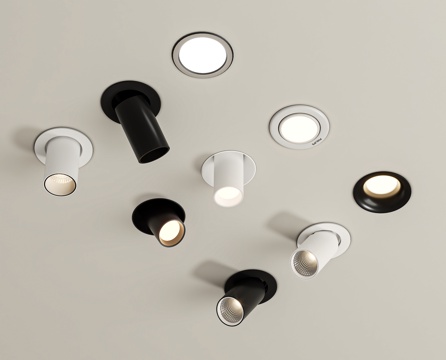 Modern Downlight