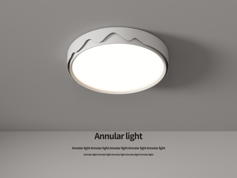 round ceiling lamp