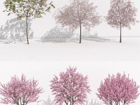 Cherry Blossom Cherry Tree Peach Blossom Tree Pink Flower Tree Landscape Tree