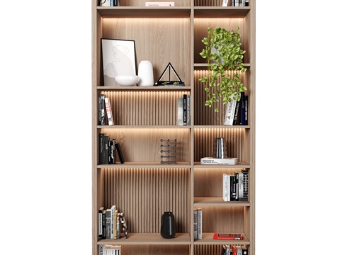 Modern Bookcase Showcase