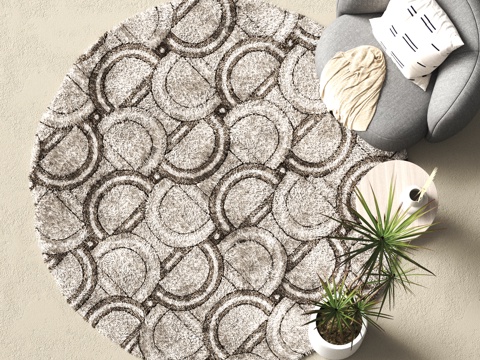 Modern Round Carpet