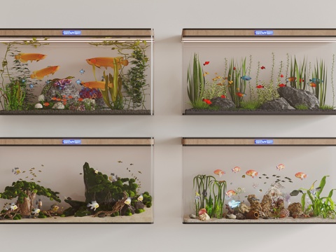 Modern fish tank aquarium