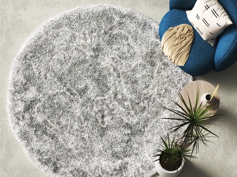 Modern Round Carpet