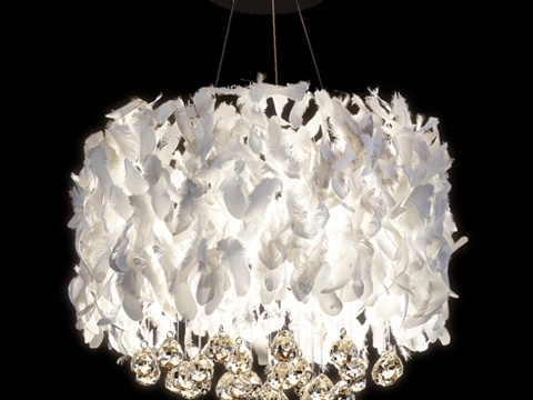 Feather crystal chandelier