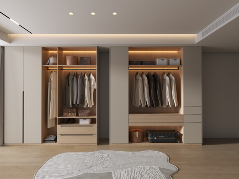 Modern Wardrobe Closet