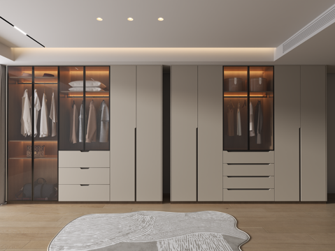 Modern Wardrobe Closet