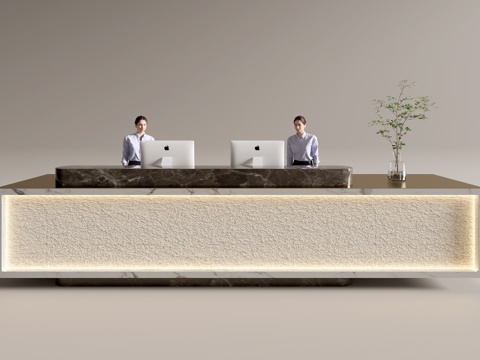 Modern Company Front Desk Service Desk