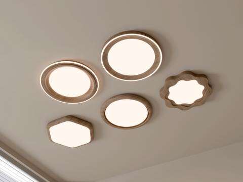 modern ceiling lamp living room lamp