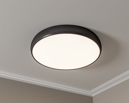 Modern Ceiling Lamp Round Ceiling Lamp