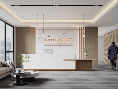 Modern Company Reception Area