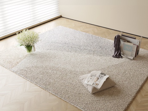 Modern Plain Carpet