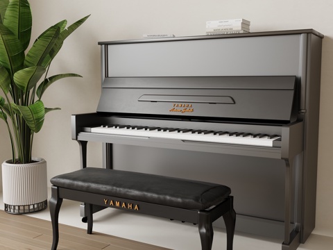 Modern Paint Piano