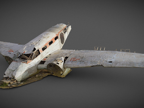 the crashed plane