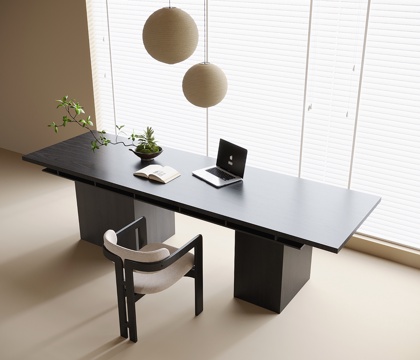 Modern Desk Writing Desk