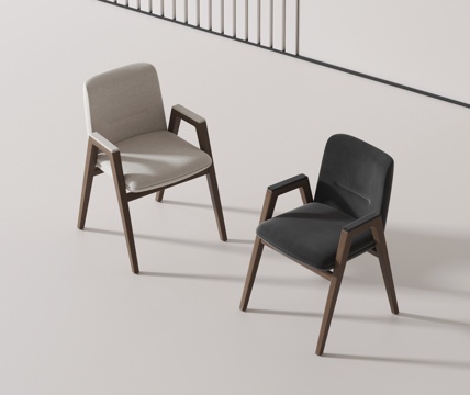 Modern Chair dining chair