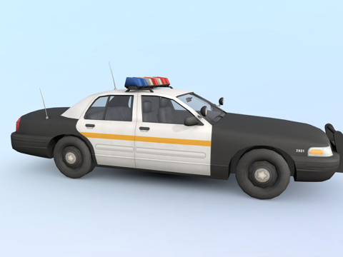 Police car