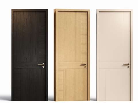 Modern single door room door