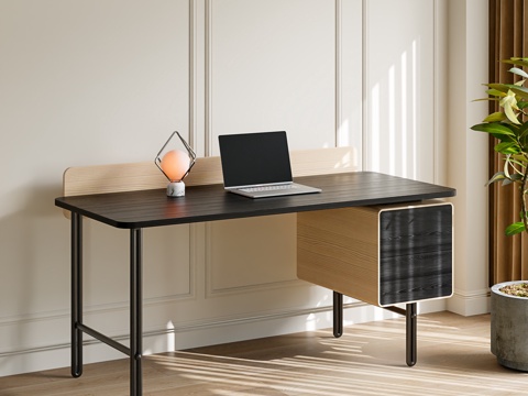 Modern Desk Writing Desk