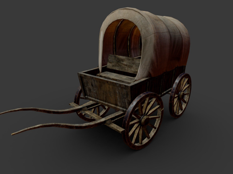 Wild West Carriage