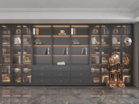 Modern custom cabinet bookcase