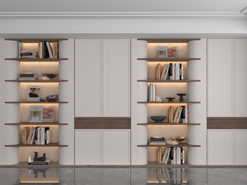 Modern Full Wall Cabinet Bookcase