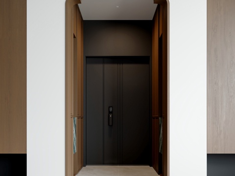 Modern entrance door opening