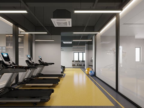 Modern Gym